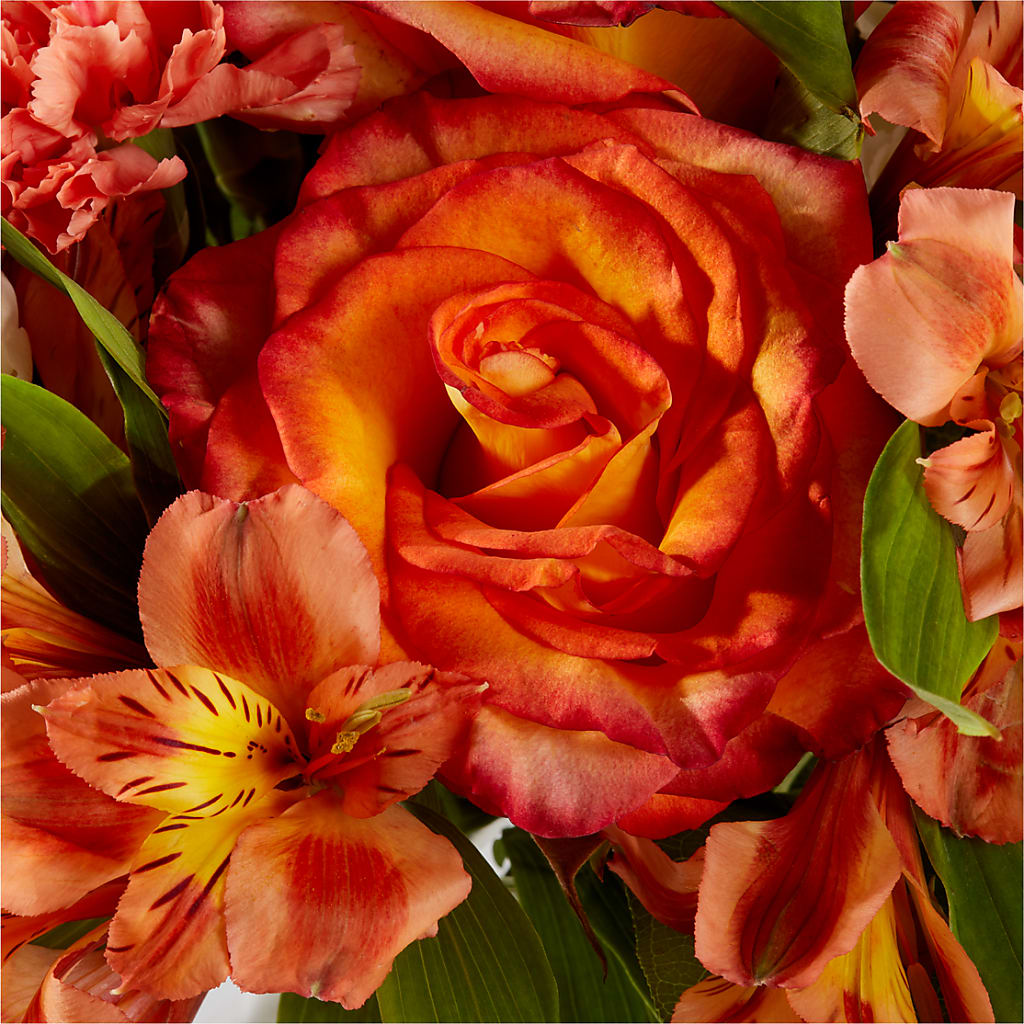 Apricot Glow Bouquet –  Depot Des Fleurs, Montreal PQ