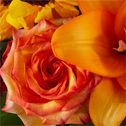 Grateful Centerpiece –  Depot Des Fleurs, Montreal PQ