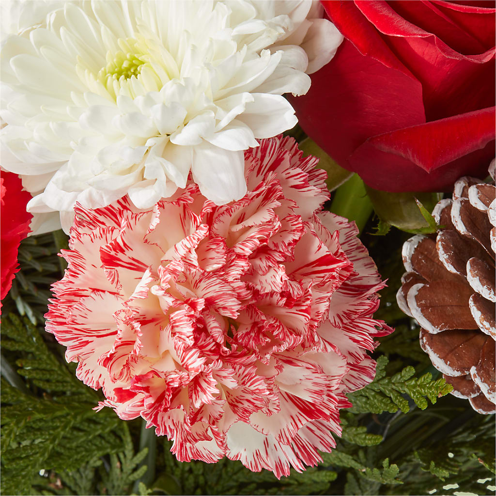 Candy Cane Lane Bouquet –  Depot Des Fleurs, Montreal PQ