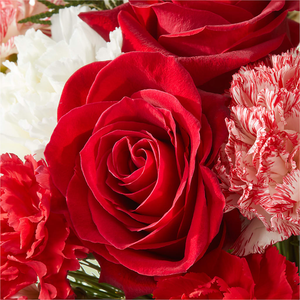 Candy Cane Lane Bouquet –  Depot Des Fleurs, Montreal PQ