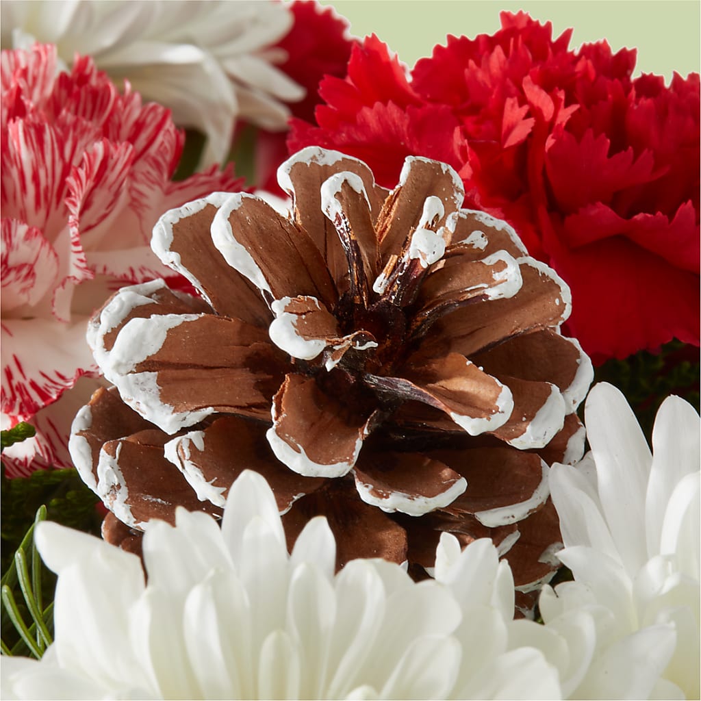 Candy Cane Lane Bouquet –  Depot Des Fleurs, Montreal PQ