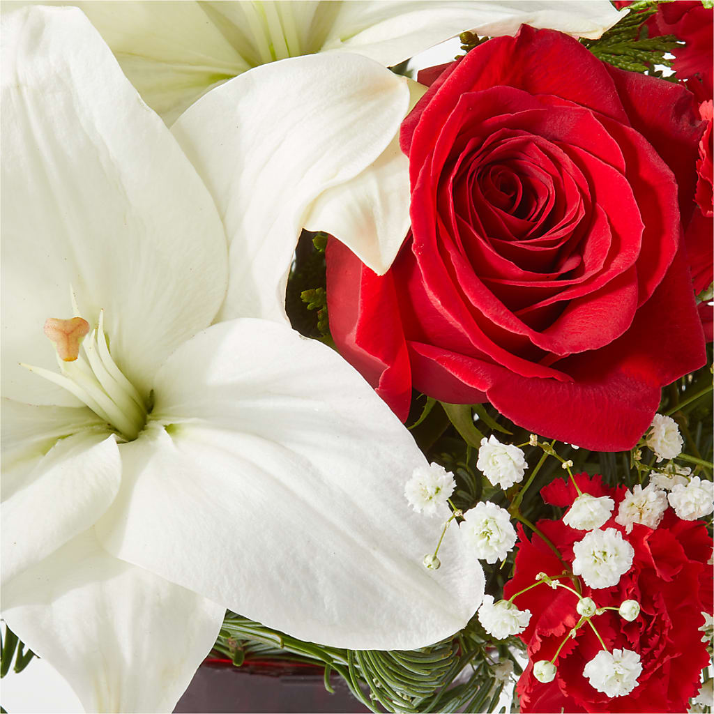Holiday Season Bouquet –  Depot Des Fleurs, Montreal PQ