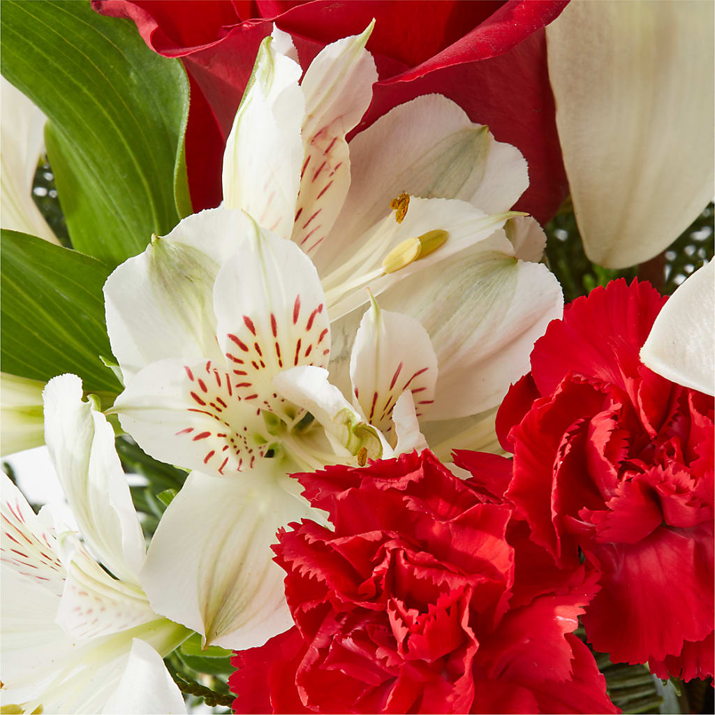 Holiday Season Bouquet –  Depot Des Fleurs, Montreal PQ