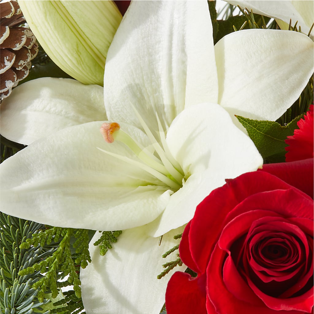 Oh So Jolly Bouquet –  Depot Des Fleurs, Montreal PQ