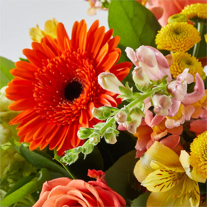 Autumn Sunshine Bouquet –  Depot Des Fleurs, Montreal PQ