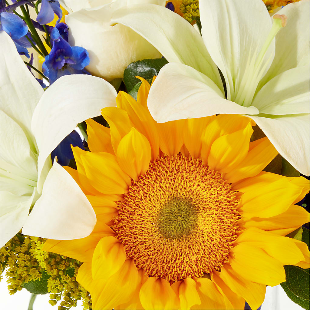 Stargazing Bouquet –  Depot Des Fleurs, Montreal PQ