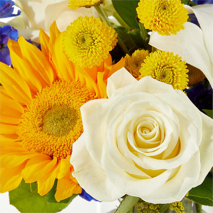 Stargazing Bouquet –  Depot Des Fleurs, Montreal PQ