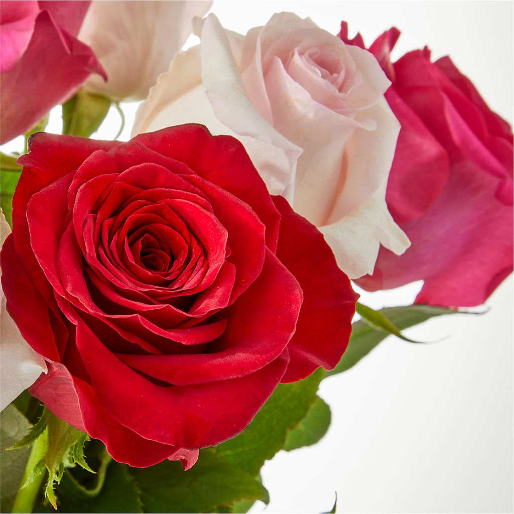 Charming Rose Bouquet –  Depot Des Fleurs, Montreal PQ