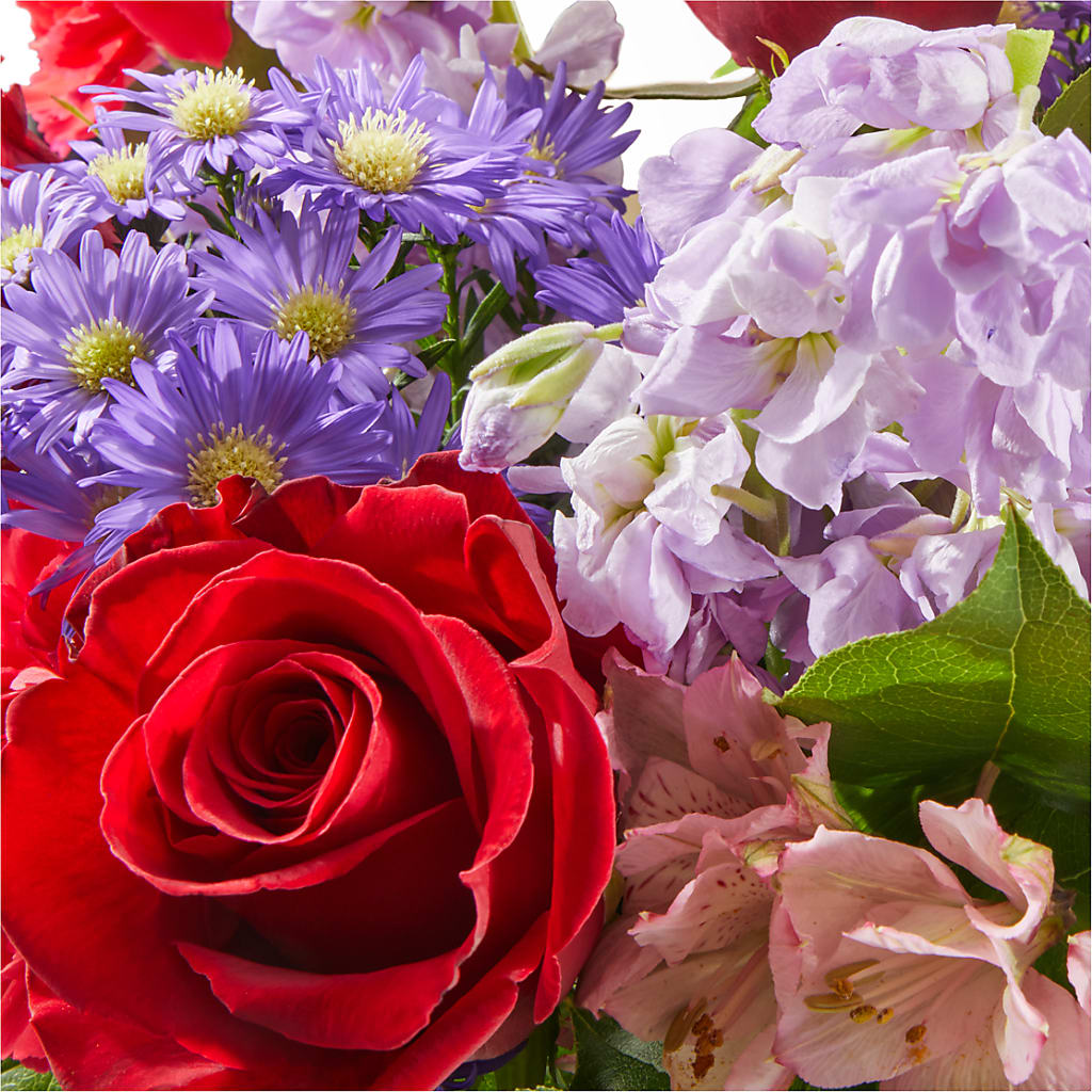 Your Majesty Bouquet –  Depot Des Fleurs, Montreal PQ