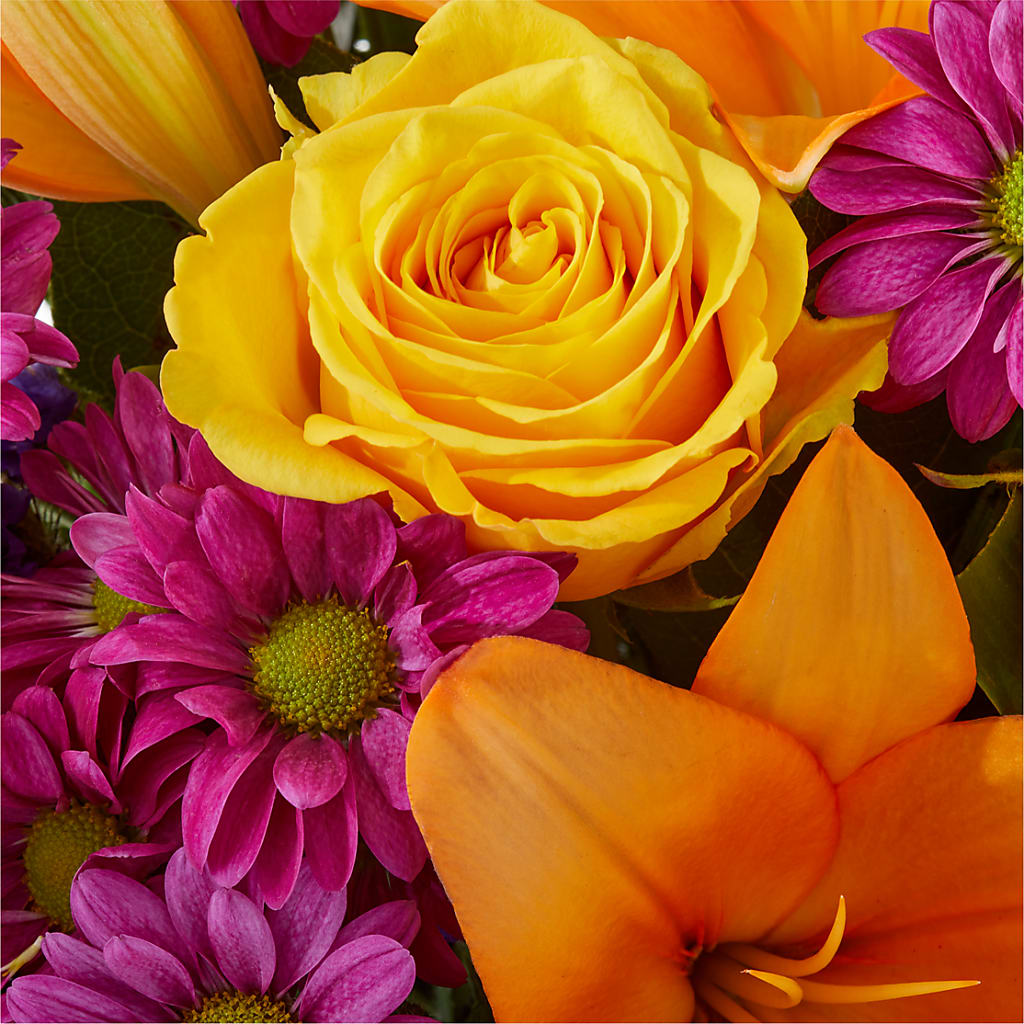 Colorful Visions Bouquet –  Depot Des Fleurs, Montreal PQ