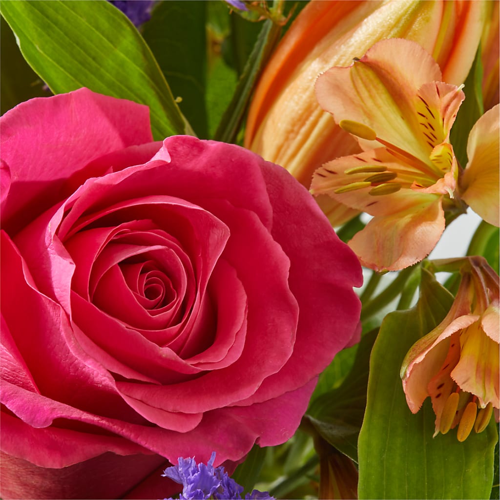 Joyful Bouquet –  Depot Des Fleurs, Montreal PQ
