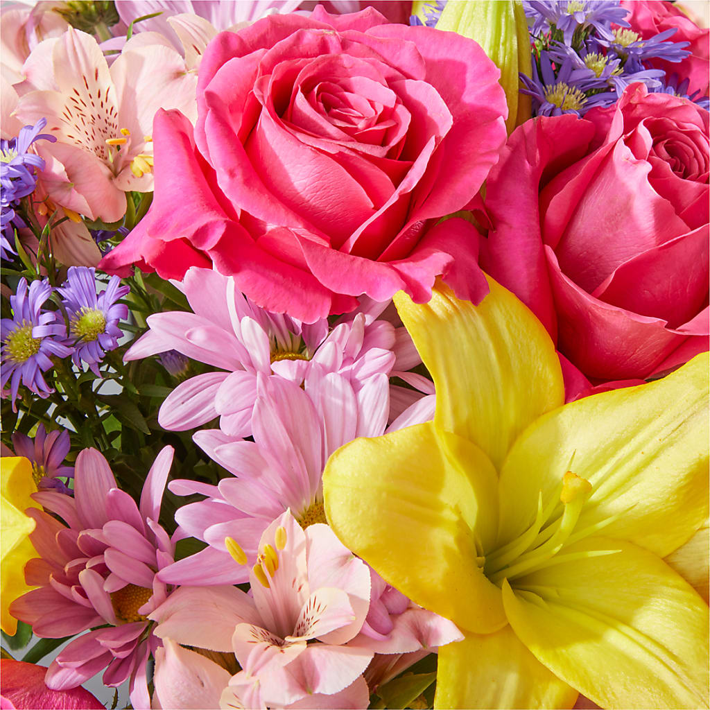 Sprinkles Bouquet –  Depot Des Fleurs, Montreal PQ