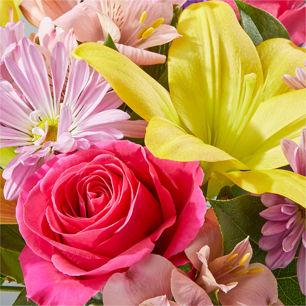 Sprinkles Bouquet –  Depot Des Fleurs, Montreal PQ