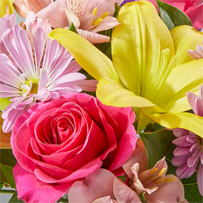 Sprinkles Bouquet –  Depot Des Fleurs, Montreal PQ