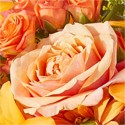 Harvest Hayride Bouquet –  Depot Des Fleurs, Montreal PQ