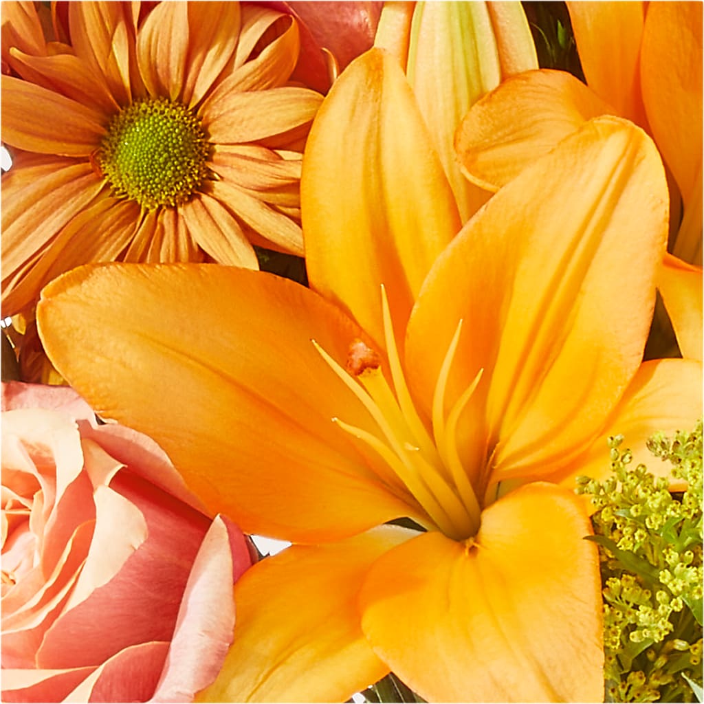 Harvest Hayride Bouquet –  Depot Des Fleurs, Montreal PQ