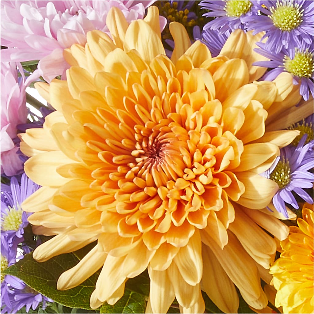 Countryside Bouquet –  Depot Des Fleurs, Montreal PQ