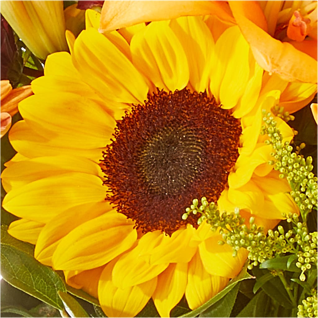 Seasons Change Bouquet –  Depot Des Fleurs, Montreal PQ