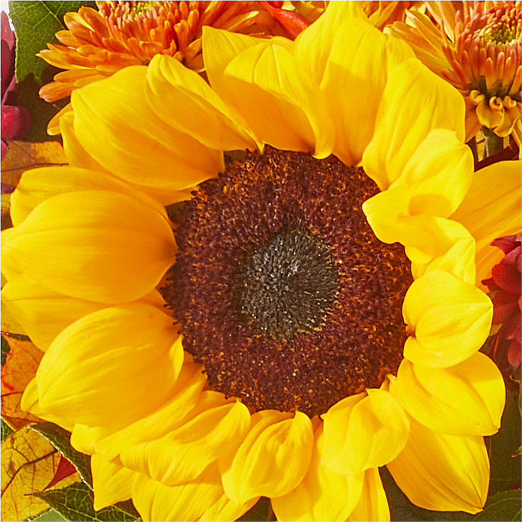 Sunny Side Bouquet –  Depot Des Fleurs, Montreal PQ