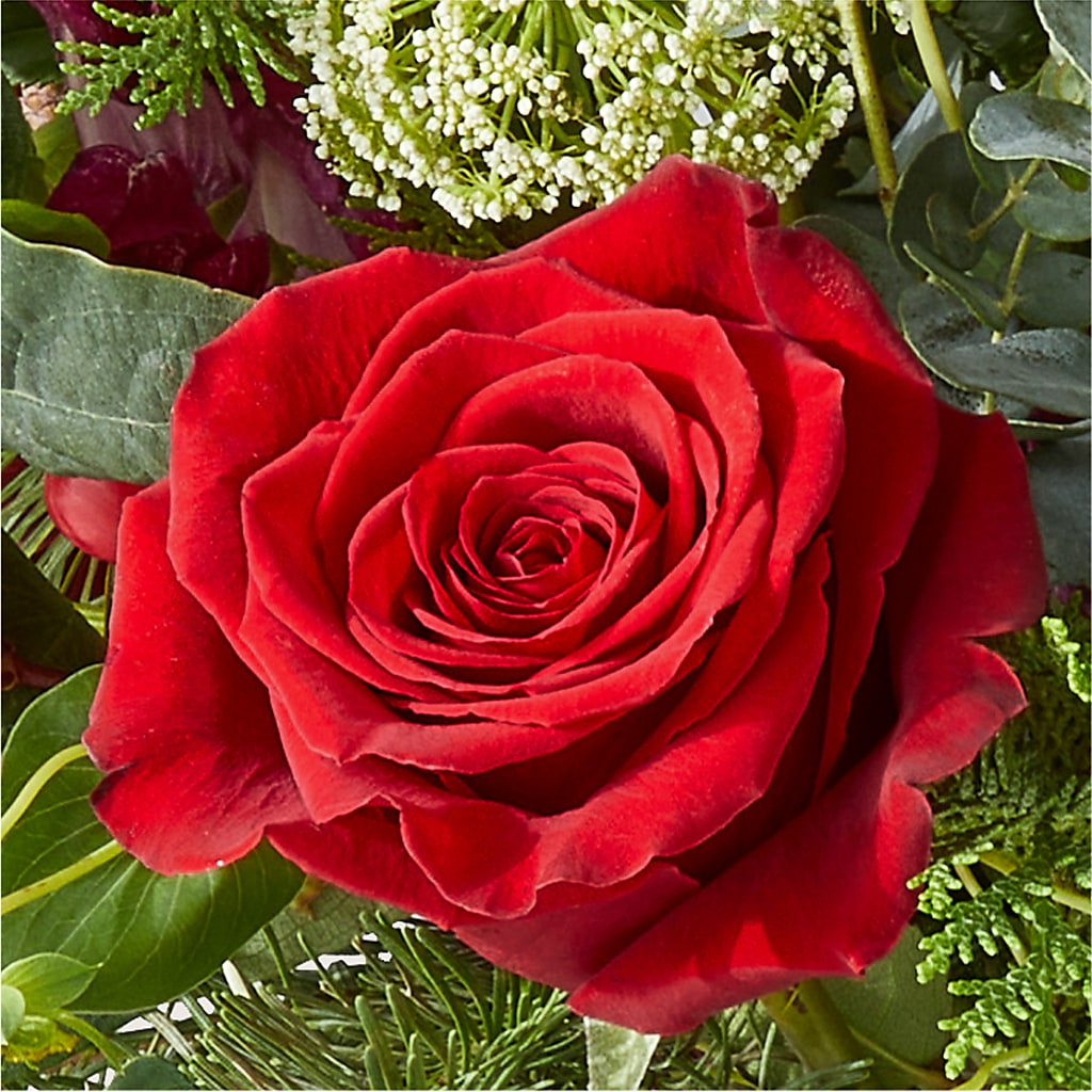 Cranberry Fizz Bouquet –  Depot Des Fleurs, Montreal PQ