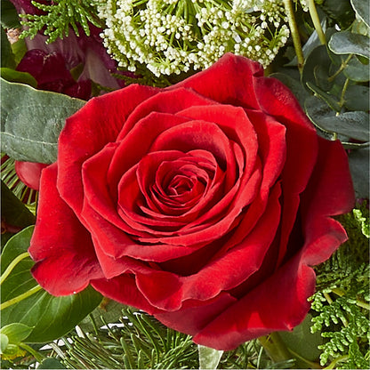 Cranberry Fizz Bouquet –  Depot Des Fleurs, Montreal PQ