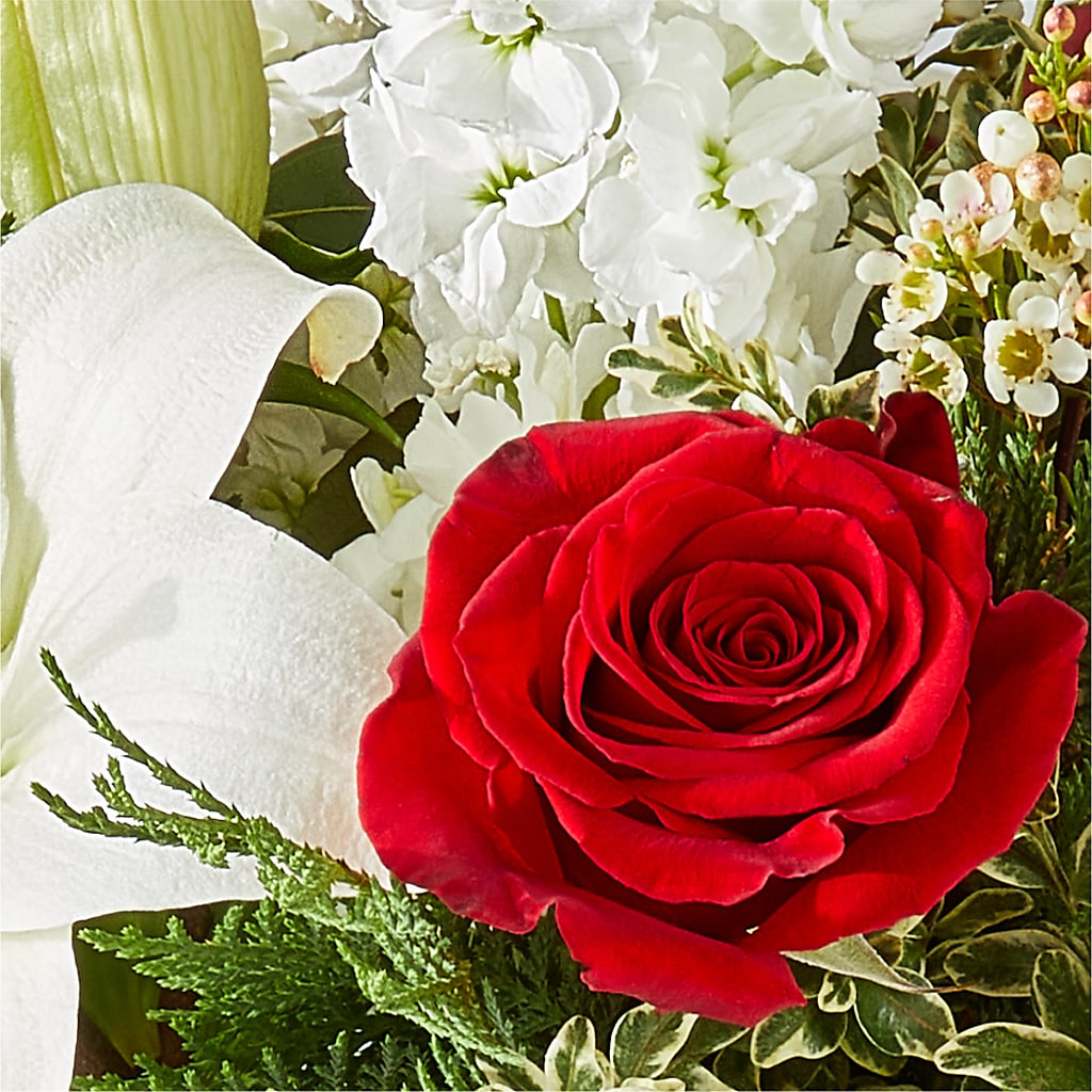Twinkle Lights Bouquet –  Depot Des Fleurs, Montreal PQ