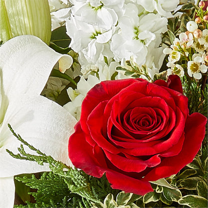 Twinkle Lights Bouquet –  Depot Des Fleurs, Montreal PQ