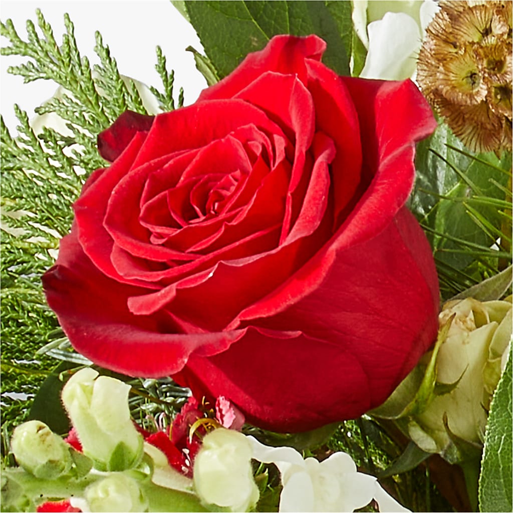 Deck the Halls Bouquet –  Depot Des Fleurs, Montreal PQ
