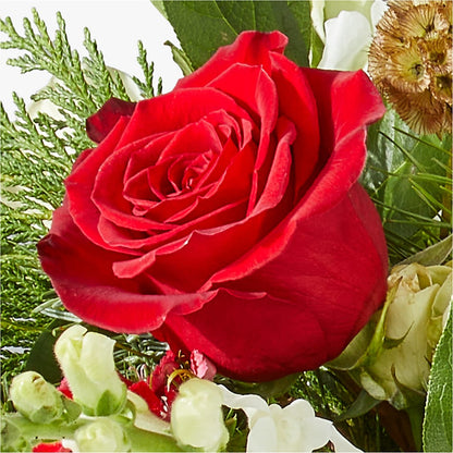 Deck the Halls Bouquet –  Depot Des Fleurs, Montreal PQ