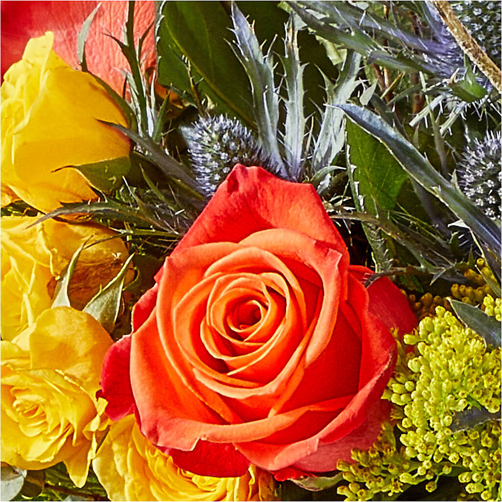 Disco Bouquet –  Depot Des Fleurs, Montreal PQ