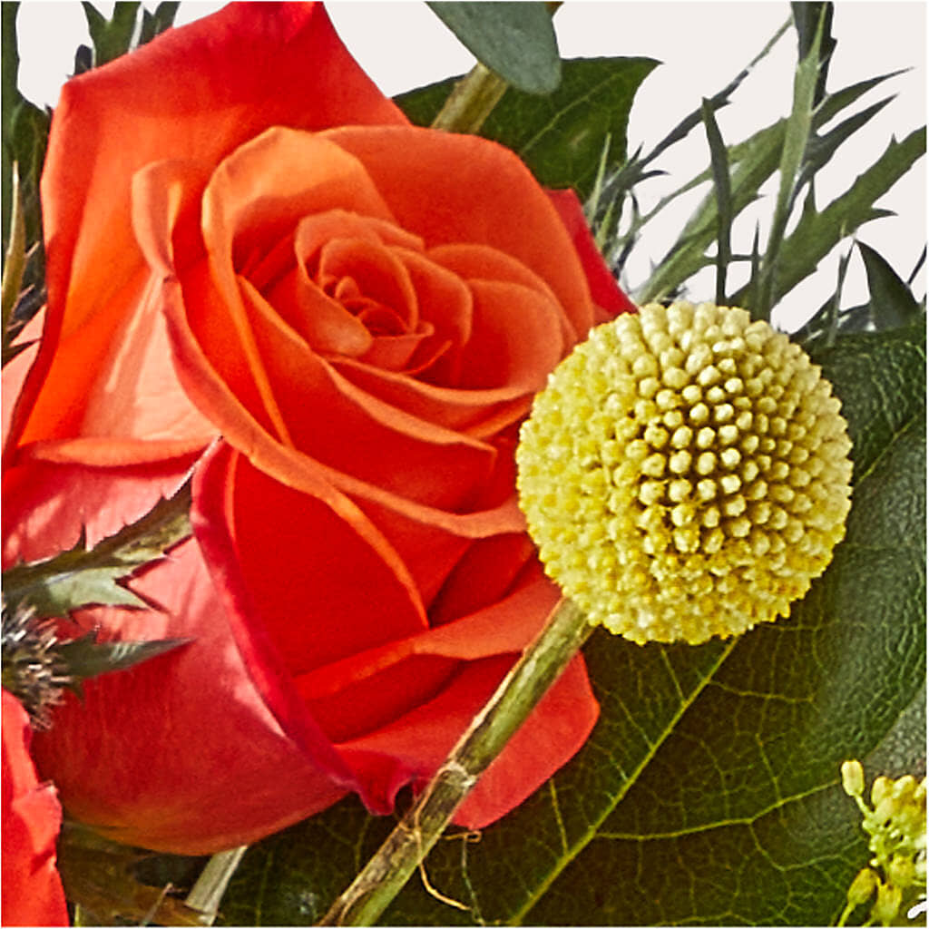 Disco Bouquet –  Depot Des Fleurs, Montreal PQ
