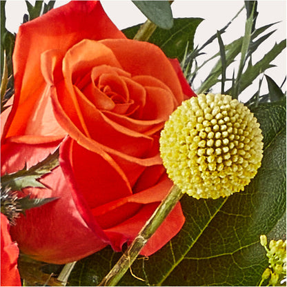 Disco Bouquet –  Depot Des Fleurs, Montreal PQ