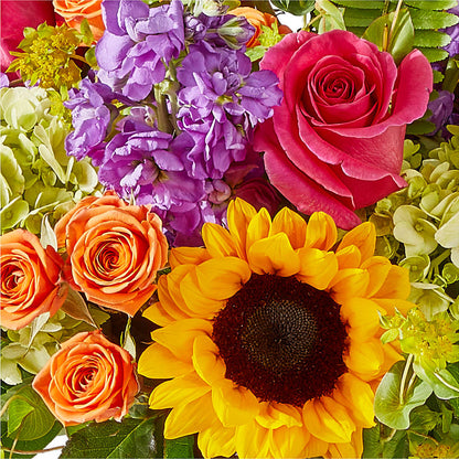 Vibrant Greetings Bouquet –  Depot Des Fleurs, Montreal PQ