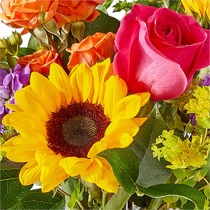Vibrant Greetings Bouquet –  Depot Des Fleurs, Montreal PQ