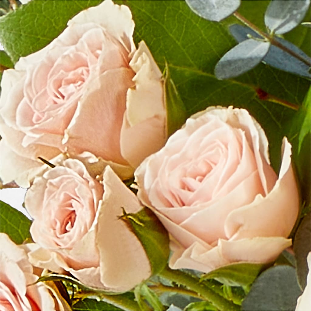 Inspired Bouquet –  Depot Des Fleurs, Montreal PQ