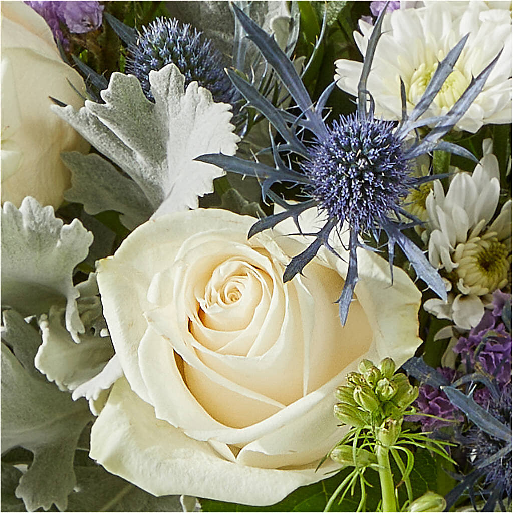 Shooting Star Bouquet –  Depot Des Fleurs, Montreal PQ