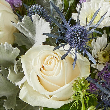 Shooting Star Bouquet –  Depot Des Fleurs, Montreal PQ