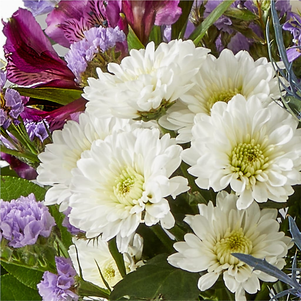 Shooting Star Bouquet –  Depot Des Fleurs, Montreal PQ