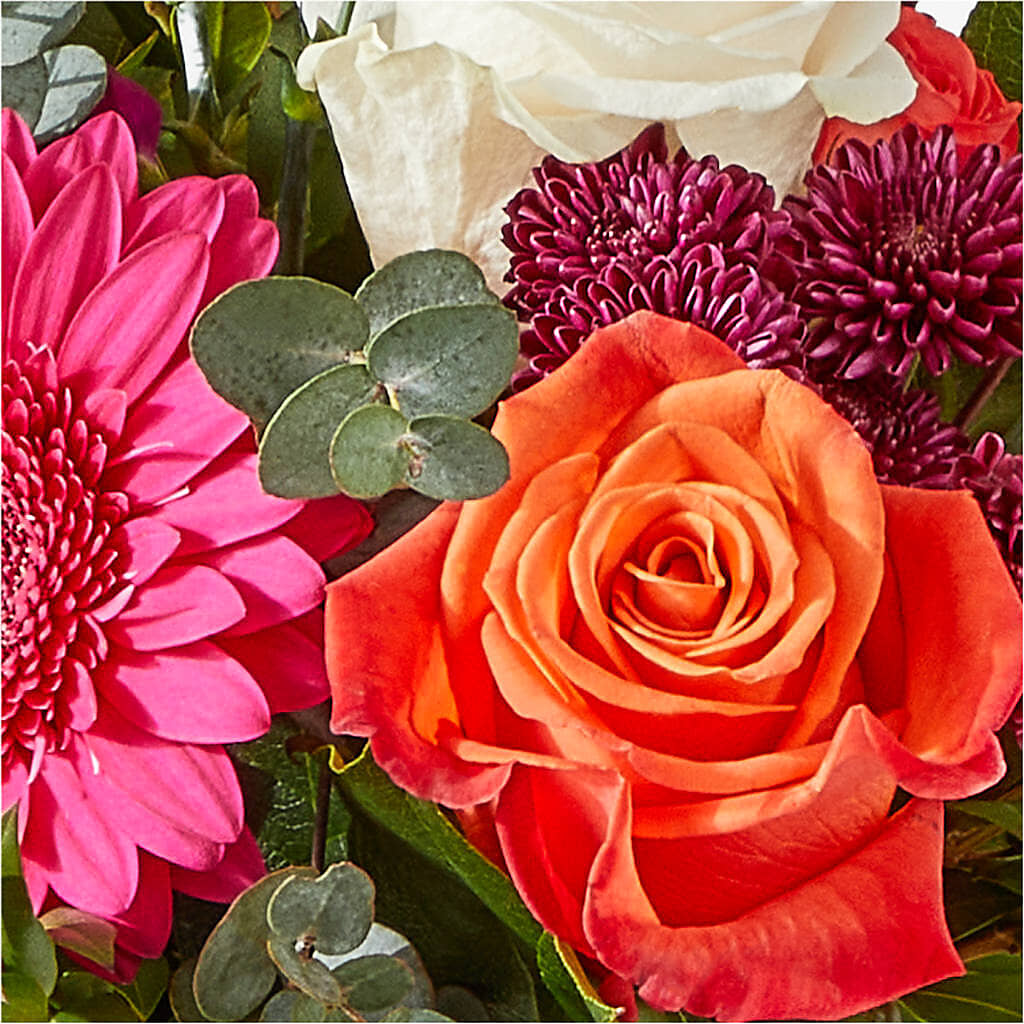 Smell the Roses Bouquet –  Depot Des Fleurs, Montreal PQ