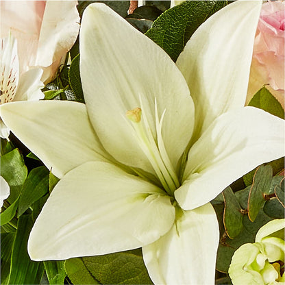 Ballet Slippers Bouquet –  Depot Des Fleurs, Montreal PQ
