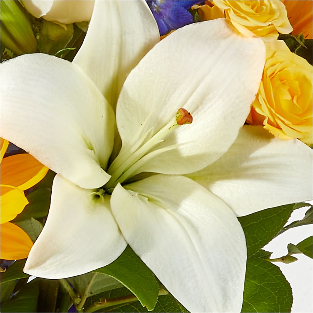 Wonderfully Sunny Bouquet –  Depot Des Fleurs, Montreal PQ