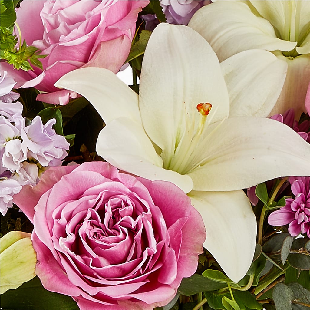 Daydreamer Bouquet –  Depot Des Fleurs, Montreal PQ