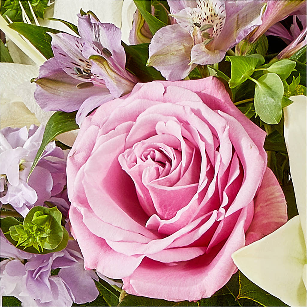Daydreamer Bouquet –  Depot Des Fleurs, Montreal PQ
