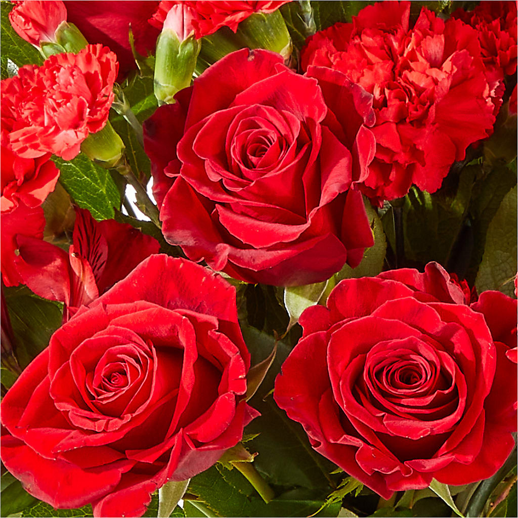 The Heartstrings Bouquet –  Depot Des Fleurs, Montreal PQ