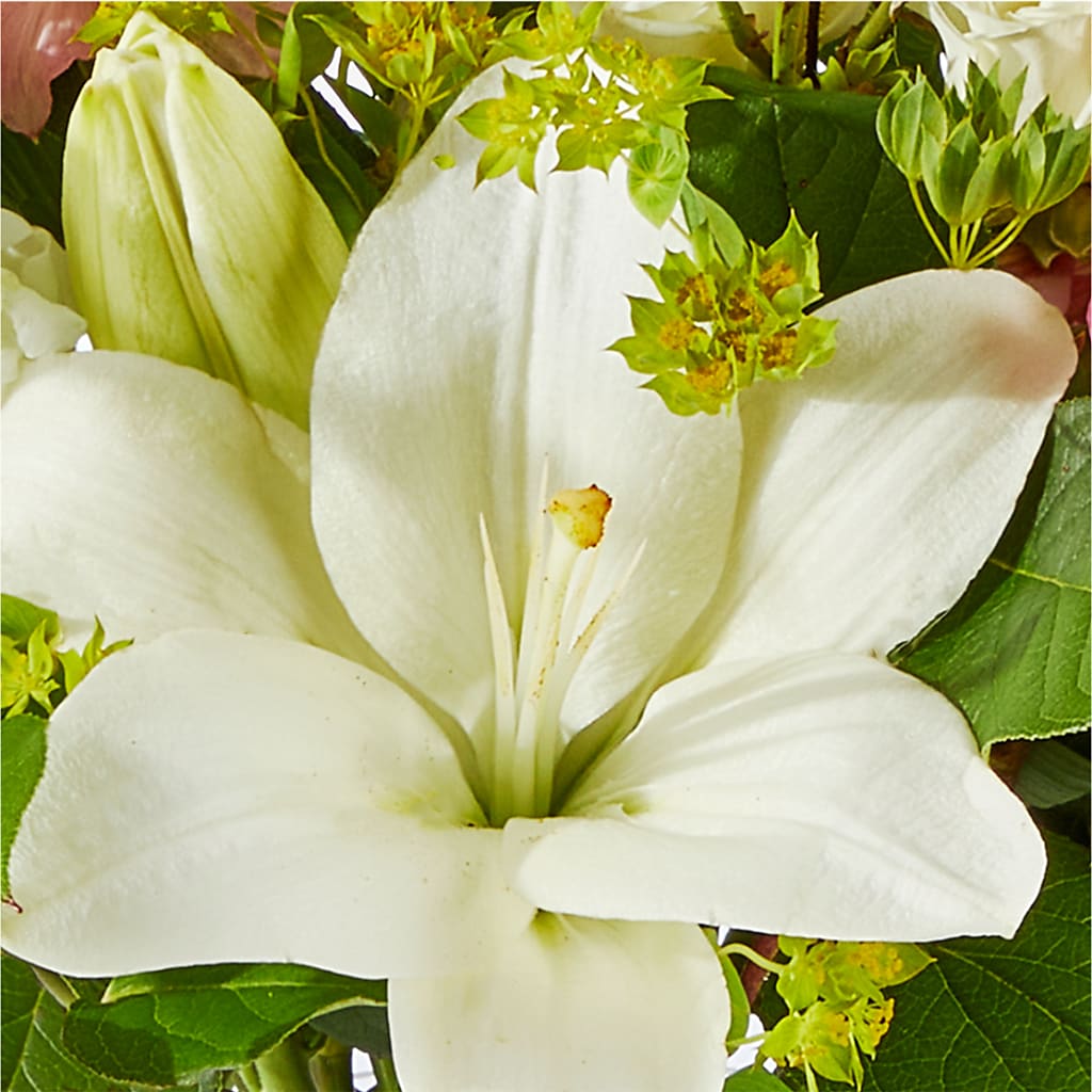 Fondly Bouquet –  Depot Des Fleurs, Montreal PQ