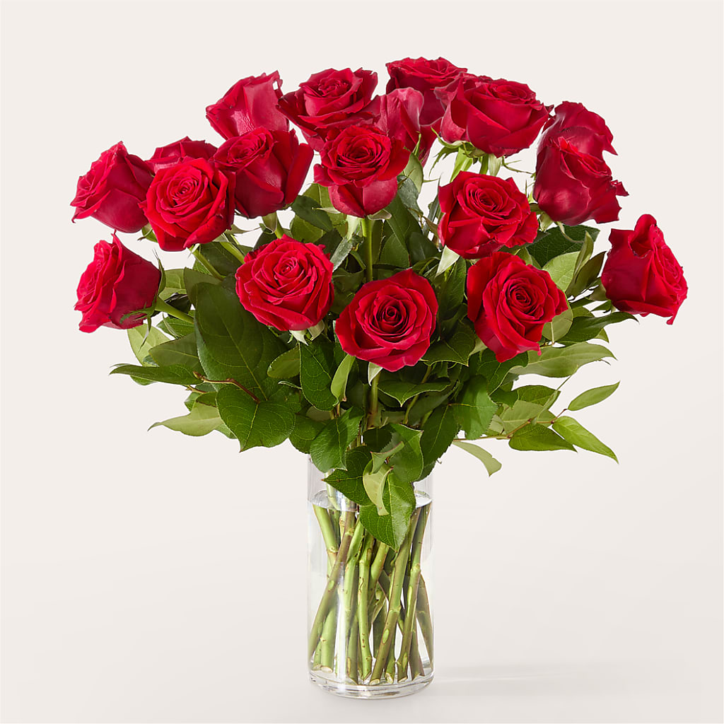 The One Red Rose Bouquet –  Depot Des Fleurs, Montreal PQ
