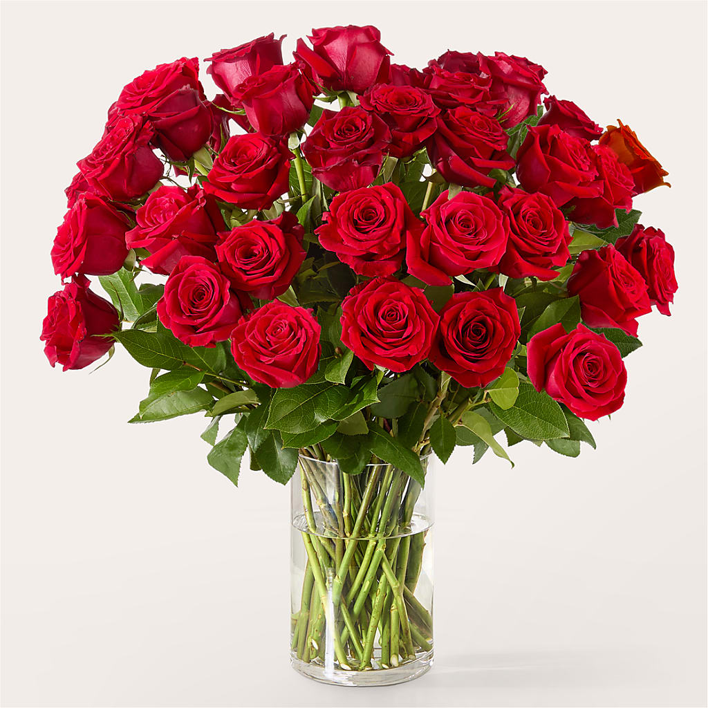 The One Red Rose Bouquet –  Depot Des Fleurs, Montreal PQ