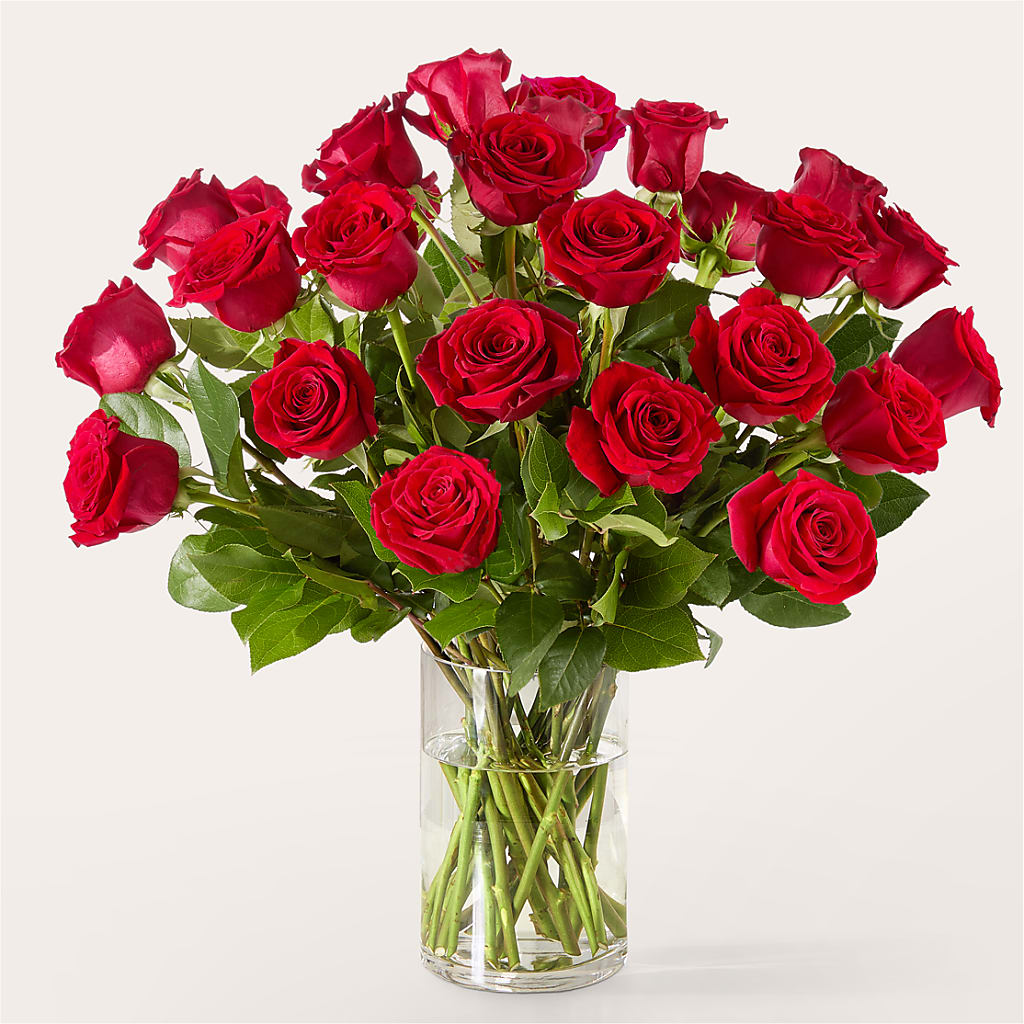 The One Red Rose Bouquet –  Depot Des Fleurs, Montreal PQ