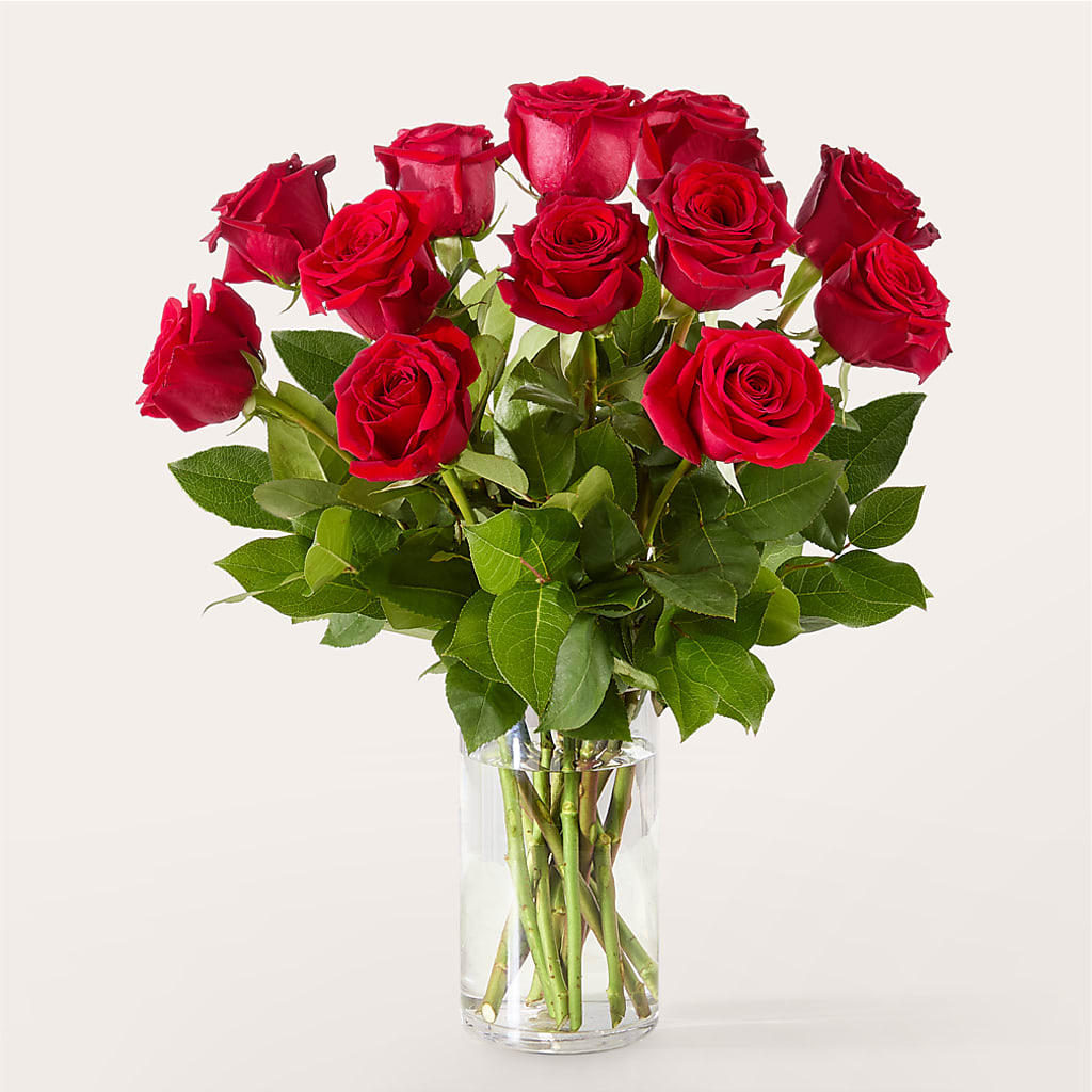 The One Red Rose Bouquet –  Depot Des Fleurs, Montreal PQ