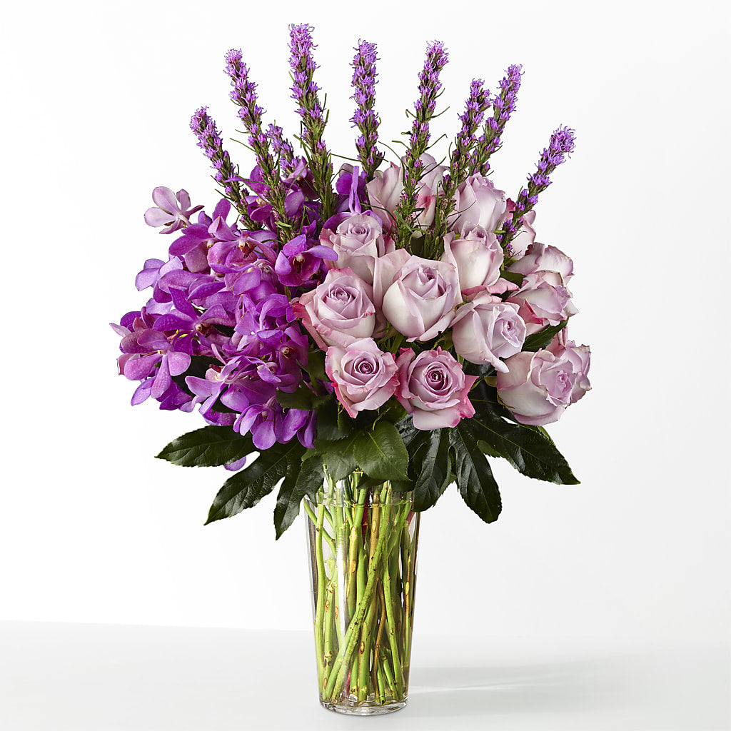 The Maximalist –  Depot Des Fleurs, Montreal PQ
